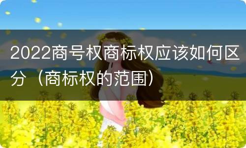 2022商号权商标权应该如何区分（商标权的范围）