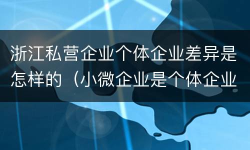 浙江私营企业个体企业差异是怎样的（小微企业是个体企业还是私营企业）