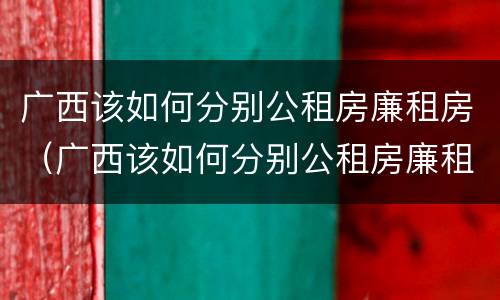 广西该如何分别公租房廉租房（广西该如何分别公租房廉租房呢）
