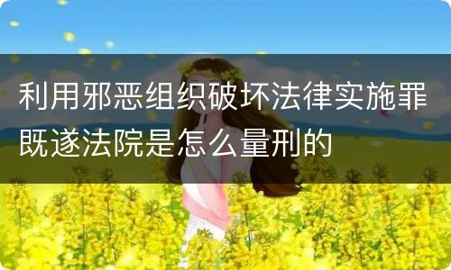 利用邪恶组织破坏法律实施罪既遂法院是怎么量刑的