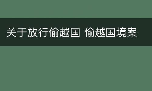 关于放行偷越国 偷越国境案