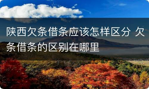 陕西欠条借条应该怎样区分 欠条借条的区别在哪里