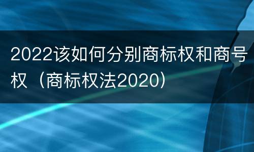 2022该如何分别商标权和商号权（商标权法2020）