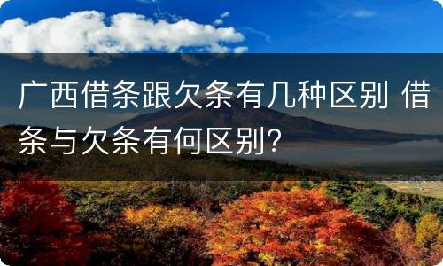 广西借条跟欠条有几种区别 借条与欠条有何区别?