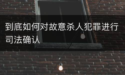 到底如何对故意杀人犯罪进行司法确认
