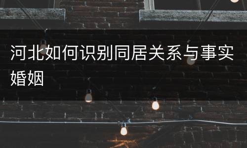 河北如何识别同居关系与事实婚姻