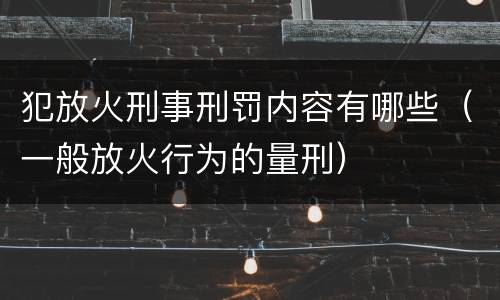 犯放火刑事刑罚内容有哪些（一般放火行为的量刑）