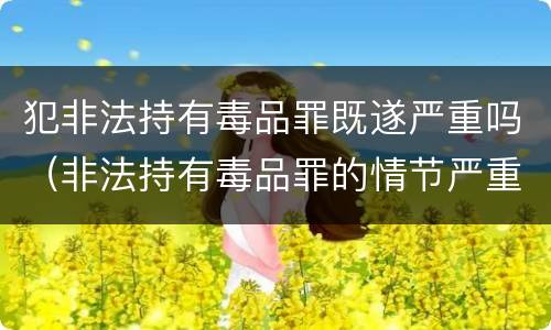 犯非法持有毒品罪既遂严重吗（非法持有毒品罪的情节严重）