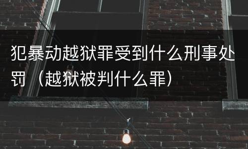 犯暴动越狱罪受到什么刑事处罚（越狱被判什么罪）