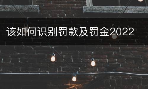 该如何识别罚款及罚金2022