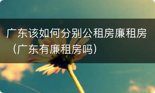 广东该如何分别公租房廉租房（广东有廉租房吗）