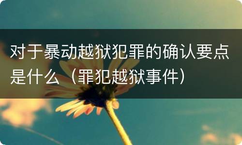 对于暴动越狱犯罪的确认要点是什么（罪犯越狱事件）