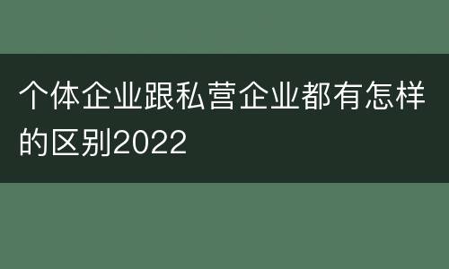 个体企业跟私营企业都有怎样的区别2022