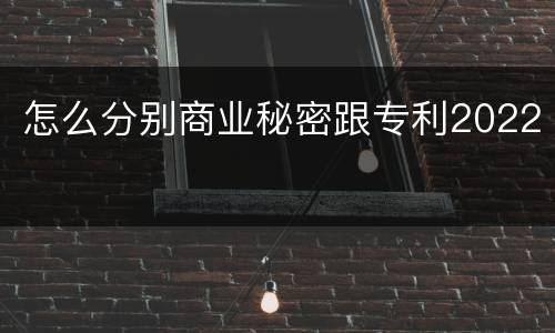 怎么分别商业秘密跟专利2022