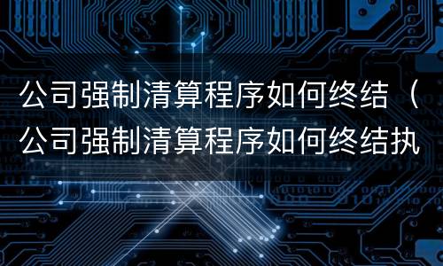 公司强制清算程序如何终结（公司强制清算程序如何终结执行）