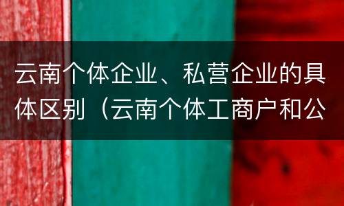 云南个体企业、私营企业的具体区别（云南个体工商户和公司）