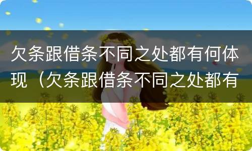 欠条跟借条不同之处都有何体现（欠条跟借条不同之处都有何体现法律效力）