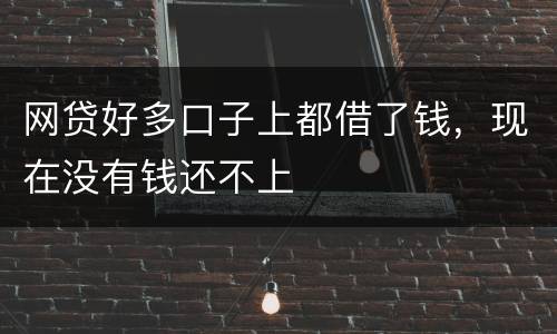 网贷好多口子上都借了钱，现在没有钱还不上