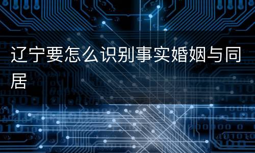 辽宁要怎么识别事实婚姻与同居