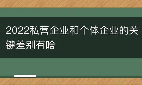2022私营企业和个体企业的关键差别有啥