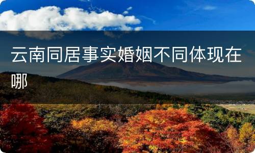 云南同居事实婚姻不同体现在哪