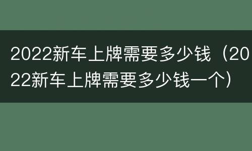 2022新车上牌需要多少钱（2022新车上牌需要多少钱一个）