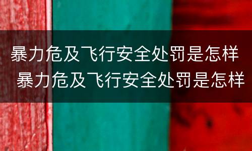 暴力危及飞行安全处罚是怎样 暴力危及飞行安全处罚是怎样形成的