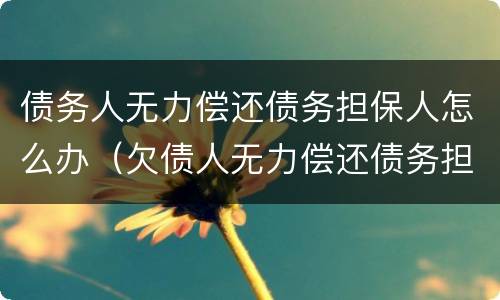 债务人无力偿还债务担保人怎么办（欠债人无力偿还债务担保人）