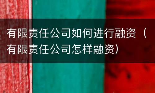 有限责任公司如何进行融资（有限责任公司怎样融资）