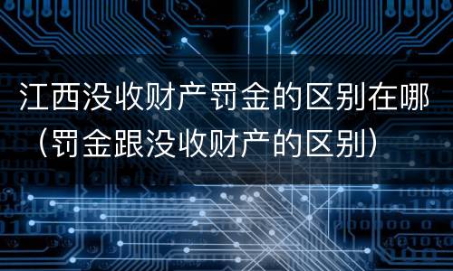 江西没收财产罚金的区别在哪（罚金跟没收财产的区别）