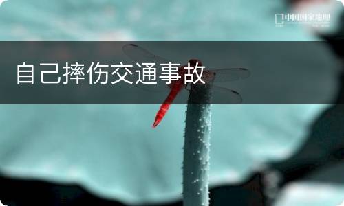 自己摔伤交通事故