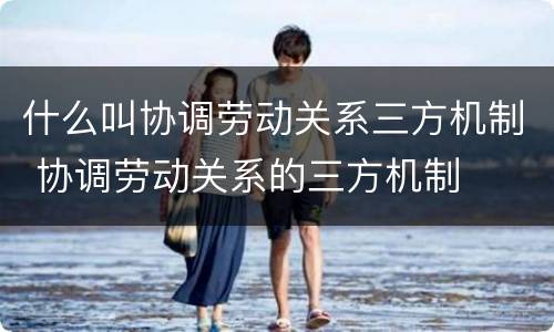 什么叫协调劳动关系三方机制 协调劳动关系的三方机制