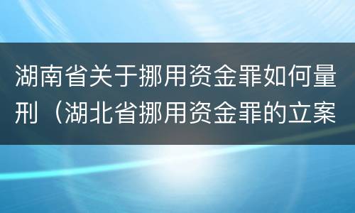湖南省关于挪用资金罪如何量刑（湖北省挪用资金罪的立案标准）
