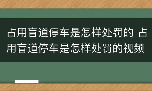 占用盲道停车是怎样处罚的 占用盲道停车是怎样处罚的视频