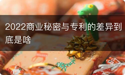 2022商业秘密与专利的差异到底是啥