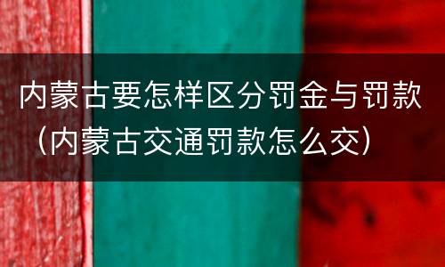 内蒙古要怎样区分罚金与罚款（内蒙古交通罚款怎么交）