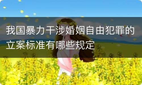 我国暴力干涉婚姻自由犯罪的立案标准有哪些规定