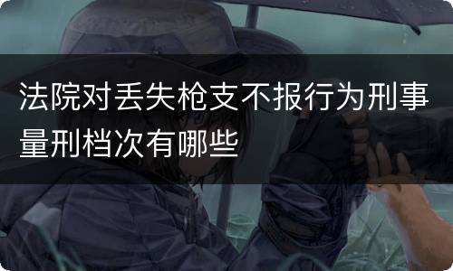 法院对丢失枪支不报行为刑事量刑档次有哪些