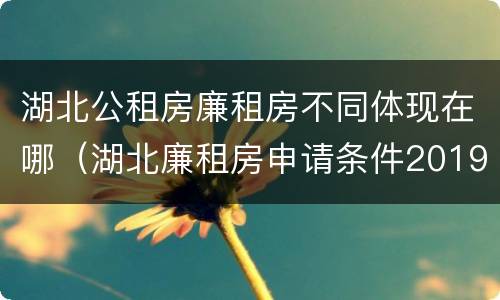 湖北公租房廉租房不同体现在哪（湖北廉租房申请条件2019）