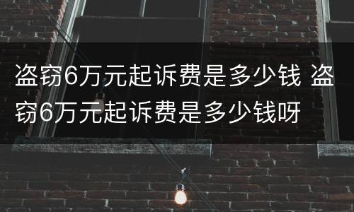 盗窃6万元起诉费是多少钱 盗窃6万元起诉费是多少钱呀