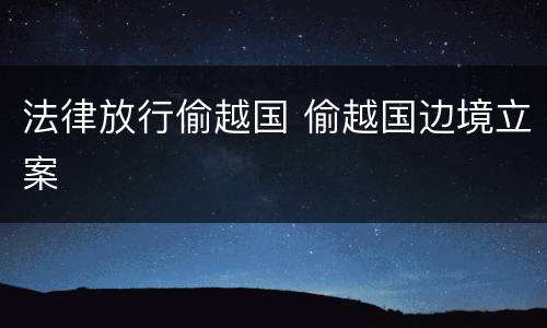 法律放行偷越国 偷越国边境立案