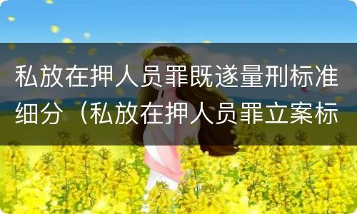 私放在押人员罪既遂量刑标准细分（私放在押人员罪立案标准）