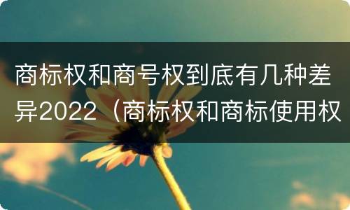 商标权和商号权到底有几种差异2022（商标权和商标使用权的区别）