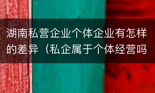 湖南私营企业个体企业有怎样的差异（私企属于个体经营吗）