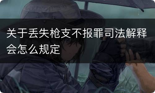 关于丢失枪支不报罪司法解释会怎么规定