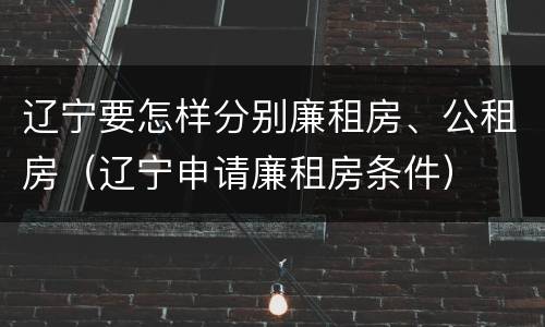 辽宁要怎样分别廉租房、公租房（辽宁申请廉租房条件）