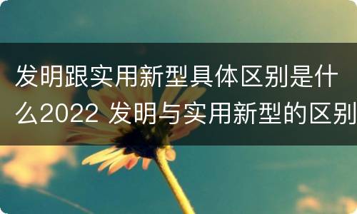 发明跟实用新型具体区别是什么2022 发明与实用新型的区别有