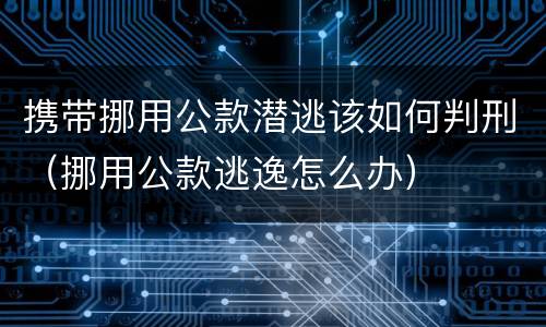携带挪用公款潜逃该如何判刑（挪用公款逃逸怎么办）