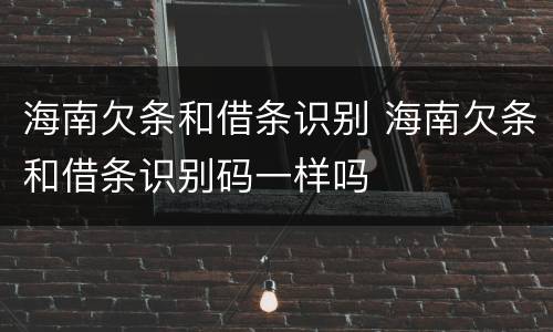 海南欠条和借条识别 海南欠条和借条识别码一样吗