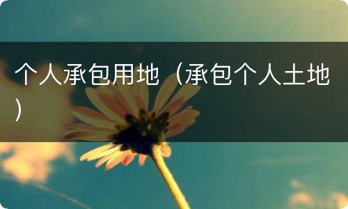 个人承包用地（承包个人土地）